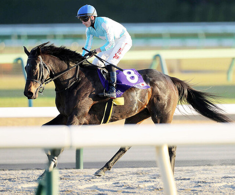 【JCで惜しい4着】牝馬3冠馬・デアリングタクトさん　まだやれそう