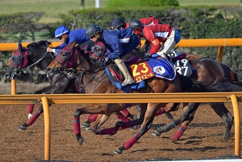 8eab4_50_92fe0fab_8b8ac99f