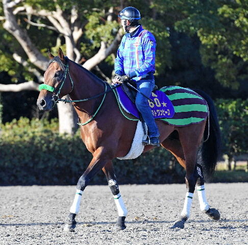 復活はあるのか ブラストワンピースは川田とのコンビで宝塚記念へ 大竹渾身の餌やり 競馬情報まとめアンテナ