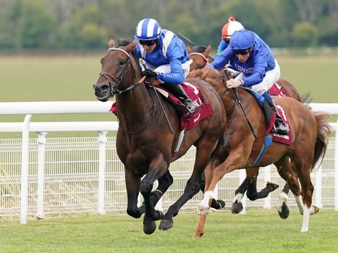 【英G1インターナショナルS 6馬身半差圧勝】フランケル2世バーイード　強すぎワロタｗｗｗｗｗ