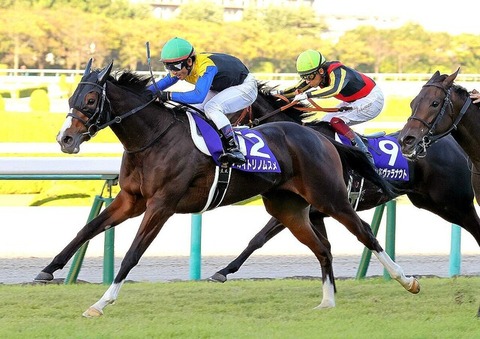 586fe_60_82dd2c8d_7487db67