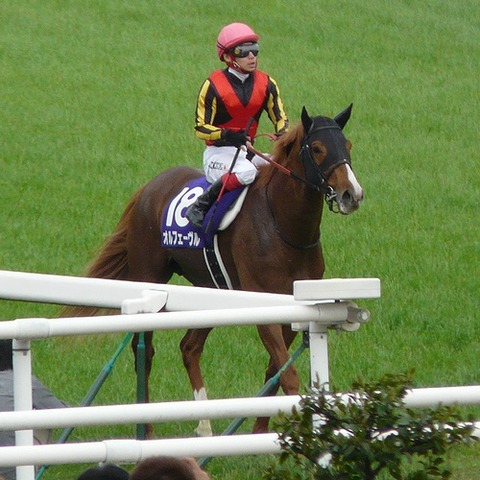 Orfevre20120429(2)