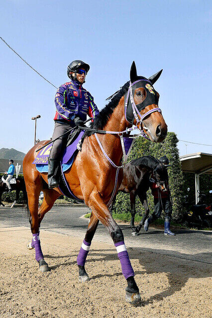 【皐月賞 4枠7番】ファントムシーフ　ルメールＶ宣言「ポジションさえ取れれば勝てそう」