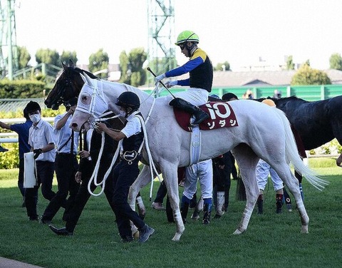 【前哨戦も視野に】ソダシ　秋はマイルCSへ