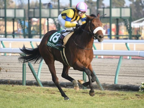 ef5a3_1769_15a93ef3_5f9d8324