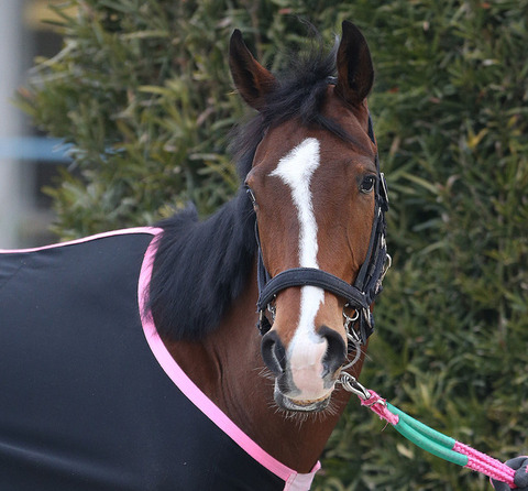 b17db_60_ce7c99fc_a2a4abe1