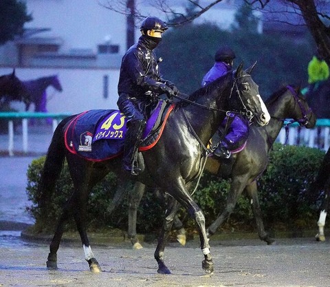 【有馬記念1番人気も】イクイノックスってやっぱり中山適性ないよな？