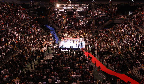 104d6_50_7c00c3b8_a5556774