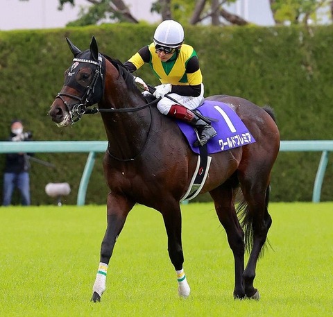 951ec_50_7f46e383_52cd99a5