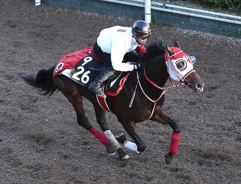 【新馬に1馬身半遅れ】藤田晋氏のフェイト　最終追い切り酷すぎｗｗｗｗ　矢作師も落胆「もう1段階上がってほしかった」