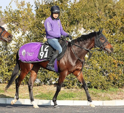 230a9_929_de66fb7c_509b5fe3