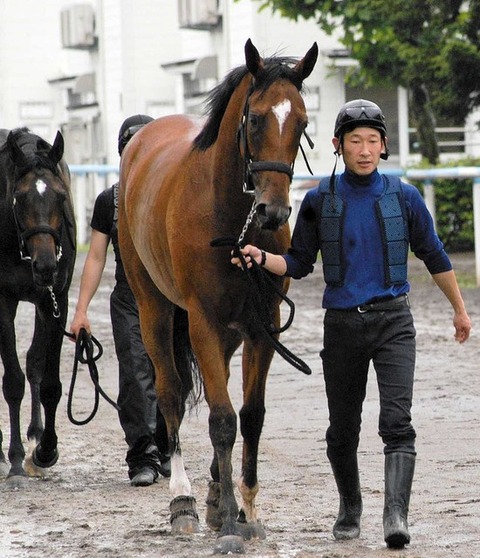 3a9db_50_664f8f06_6a636673