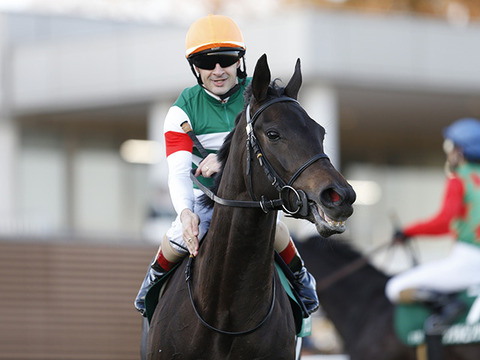 20200425-00000019-kiba-000-2-view