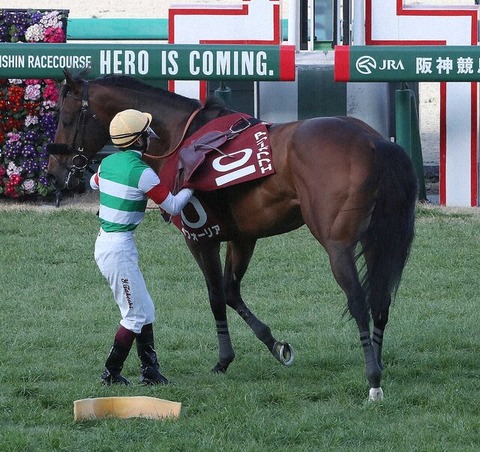 【競馬の概念を覆すｗ】横山武史さん　とんでもない方法でレースを無かったことにしてしまうｗｗｗｗ