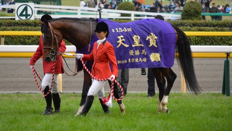 【スクリーンヒーローは無かったことにｗ】白井元調教師「モーリスはグラスワンダーの隔世遺伝。種牡馬としての能力はかなり高い」