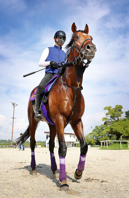 【ニエル賞にドウデュース】フランス・パリロンシャンの5競走に登録の日本馬発表