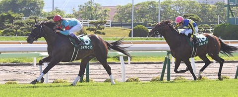 1d991_50_2446e9b6_4235dd04