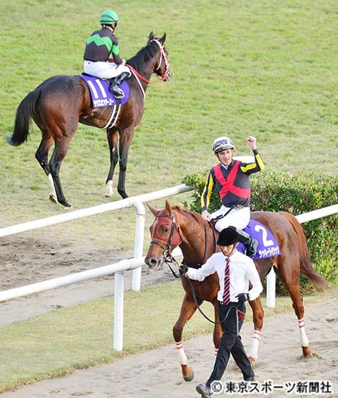 833dd_1399_477b0e6a_37966499