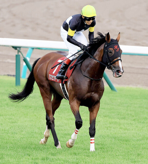 【菊花賞に活かせるか】アスクビクターモア　田辺裕信「あっさり勝ってほしかった」