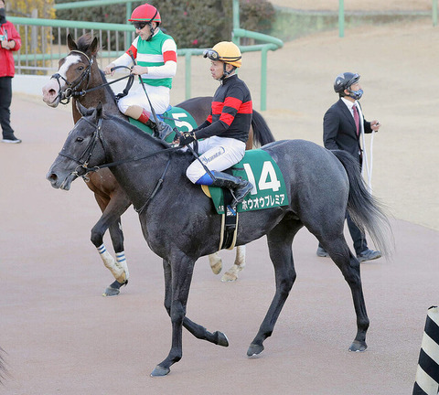 1ba50_60_4d6b858d_bb7760ac