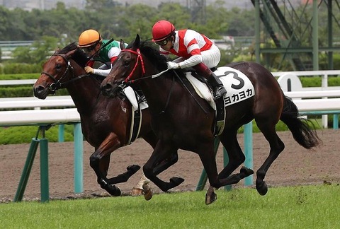 de60d_60_576a3c4f_8e2f3067