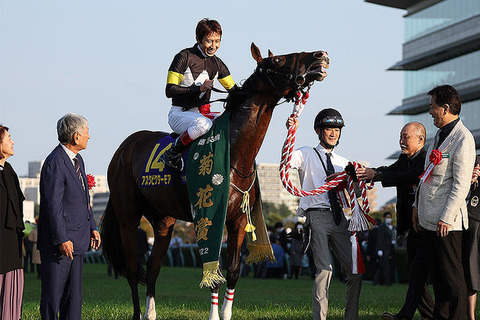 【今年は春の天皇賞がアツい！】菊花賞馬・アスクビクターモア　日経賞で始動