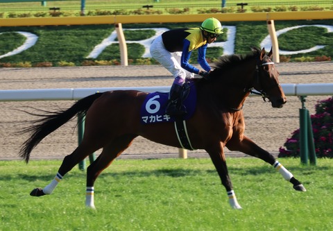 マカヒキ(天皇賞)