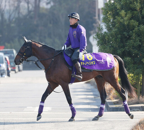 b3bc6_60_00fbd279_3ed83dbe