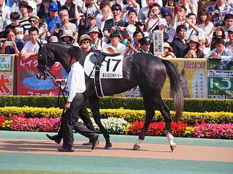 540px-Win_Bright_-_Japanese_Derby_2017_(34952522675)