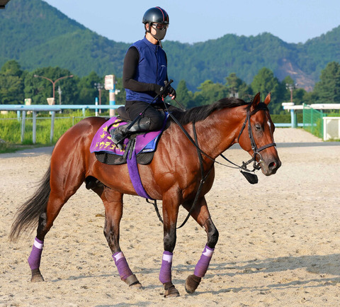 【凱旋門賞19着の影響か】ドウデュース　ジャパンカップを自重
