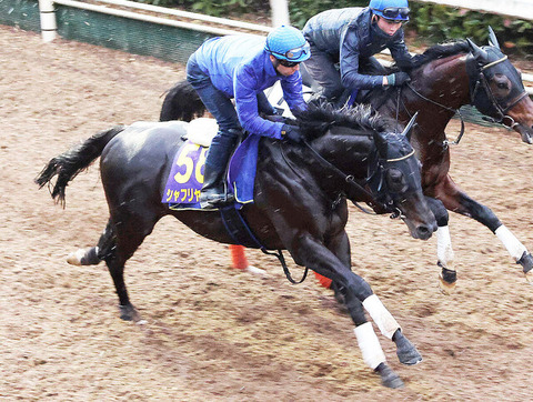 【JCの凋落には触れない競馬村】シャフリヤール　藤原調教師「世界で認識されているのはダービーとジャパンカップ」