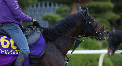 734ed_60_de206e63_9b49b5ee