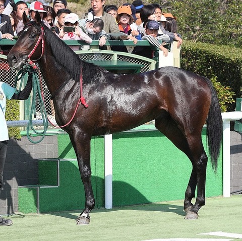 c4935_929_spnldpc-20210507-0003-006-p-0