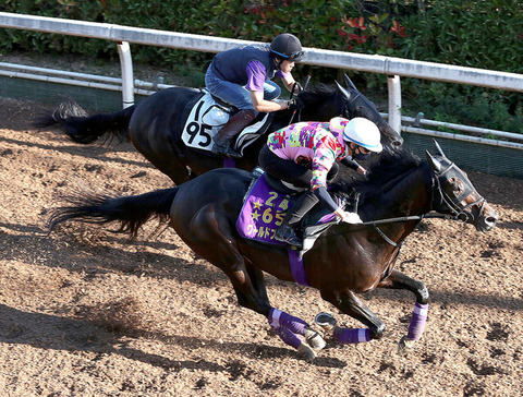 523ee_60_972cc84b_c7b17929