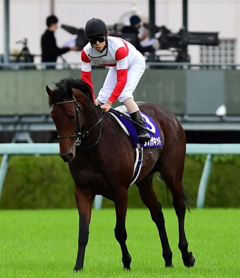 【川田から乗り替わりに】ダノンザキッドは香港カップ、ダノンスコーピオンは香港マイルへ