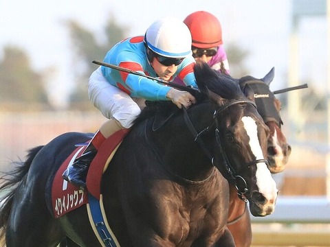 【初年度から有力馬輩出】キタサンブラックから切れ味の良い産駒がなぜ産まれるのか