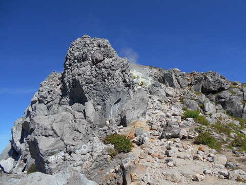 DSCN0221