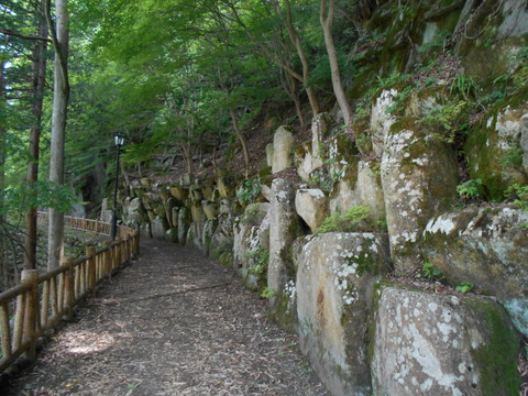 DSCN0117