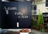 ADAMS-1