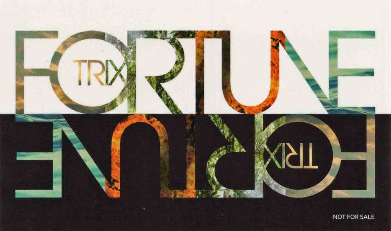 FORTUNE-3