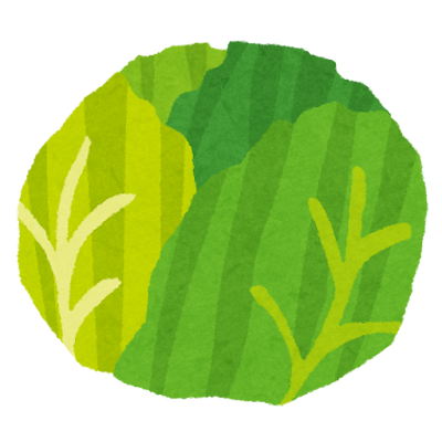 vegetable_cabbage2
