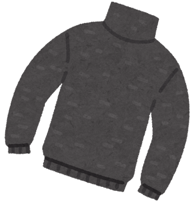 fashion_sweater_turtle