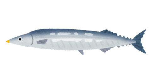 fish_sakana_sanma