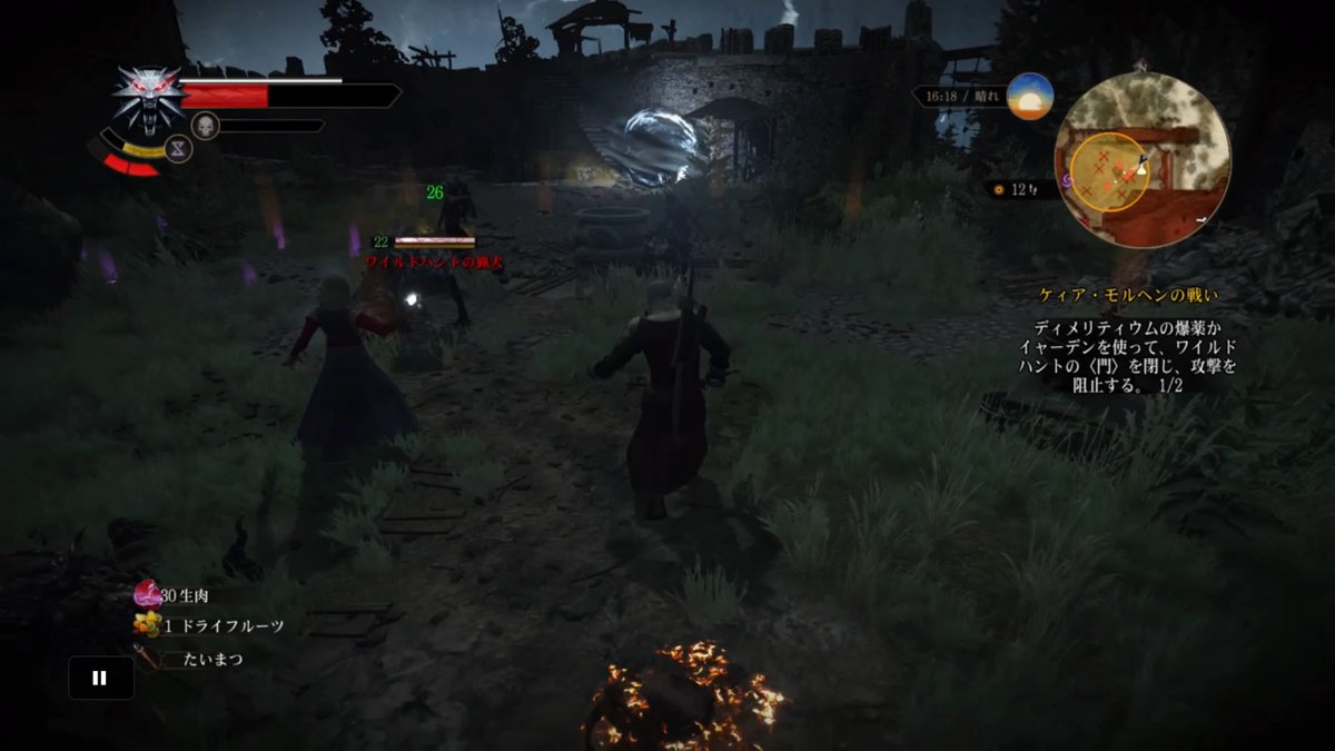 ウィッチャー3 8 俺様はプロゲーマーだ ウィッチャー3 8 俺様はプロゲーマーだ