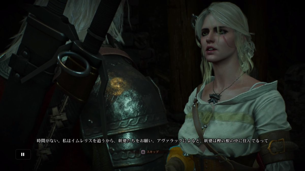 ウィッチャー3 9 俺様はプロゲーマーだ ウィッチャー3 9 俺様はプロゲーマーだ
