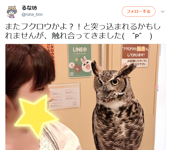 人気女性ゲーム実況者のるな坊の顔はこちらwwwwwwww 俺様はプロゲーマーだ 人気女性ゲーム実況者のるな坊の顔はこちらwwwwwwww 俺様はプロゲーマーだ