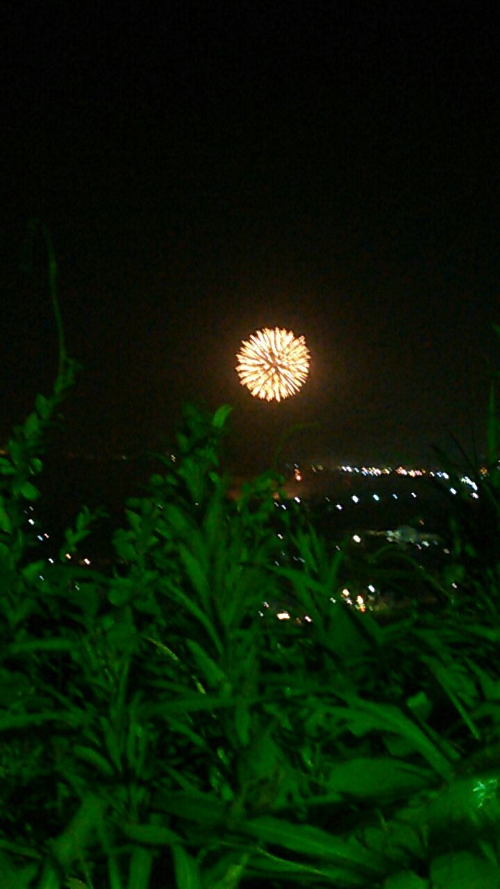 打ち上げ花火 横から見た Adomcg な休日 打ち上げ花火 横から見た Adomcg な休日
