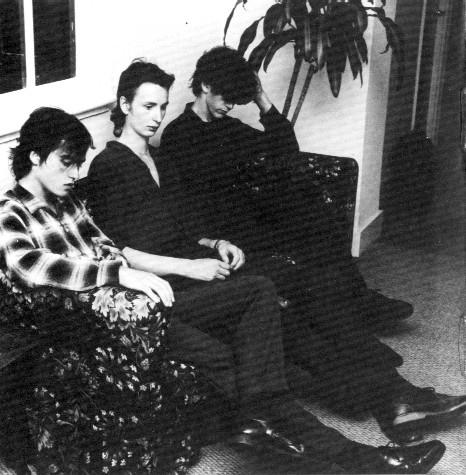 FELT / CRUMBLING THE ANTISEPTIC BEAUTY ＋ THE SPLENDOUR OF FEAR