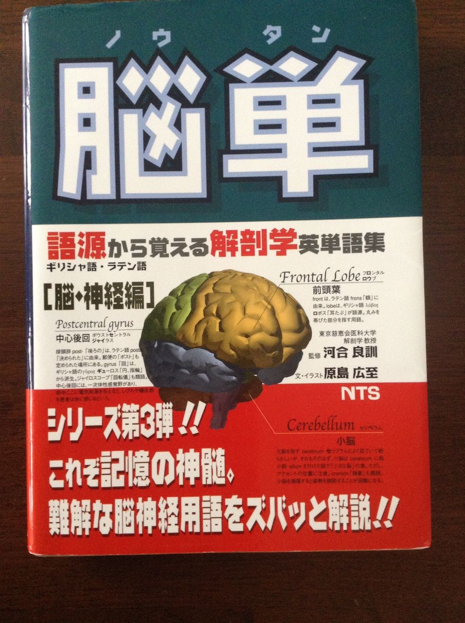 脳単 Adorkableのblog