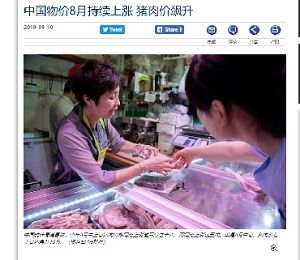 2019年9月11日豚